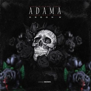 Drgonw – adama