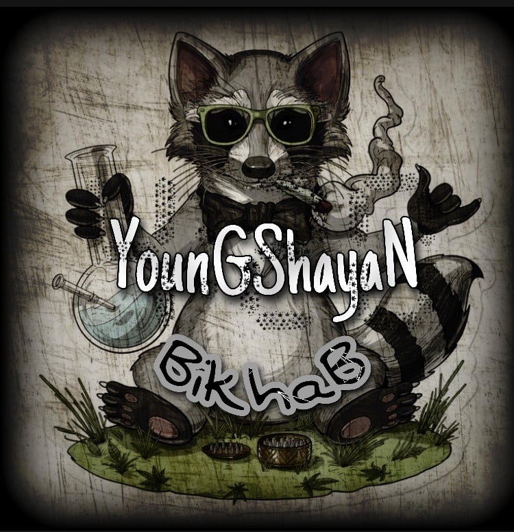 دانلود آهنگ بی خواب از Youngshayan