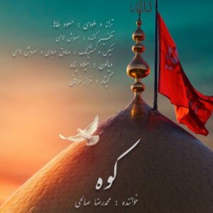 محمدرضا صالحی – کوه