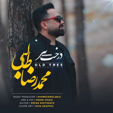 محمد رضا طالبی – درخت پیر